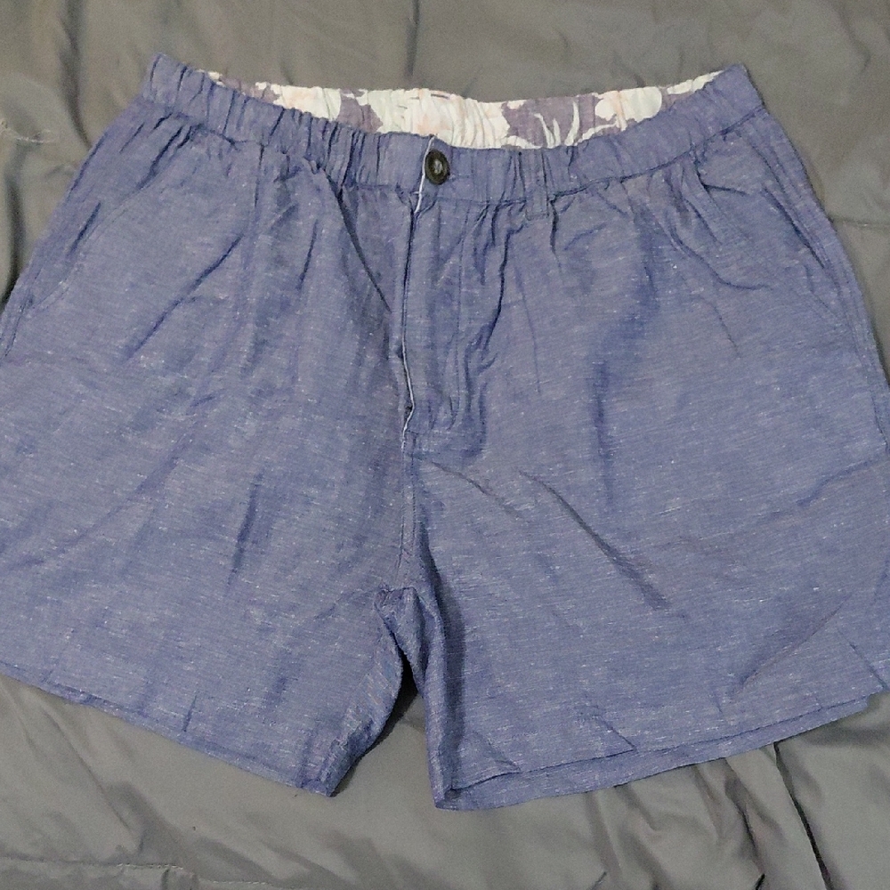 Chubbies Light Blue Denim Shorts